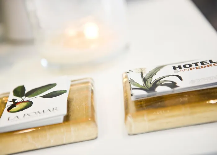 San Pedro 3* Langreo