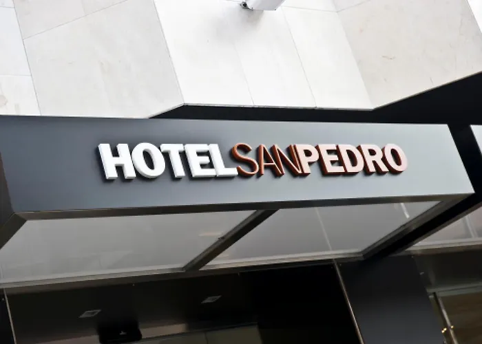 Hotel San Pedro 3*